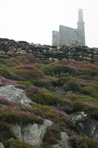 Ireland for web 014